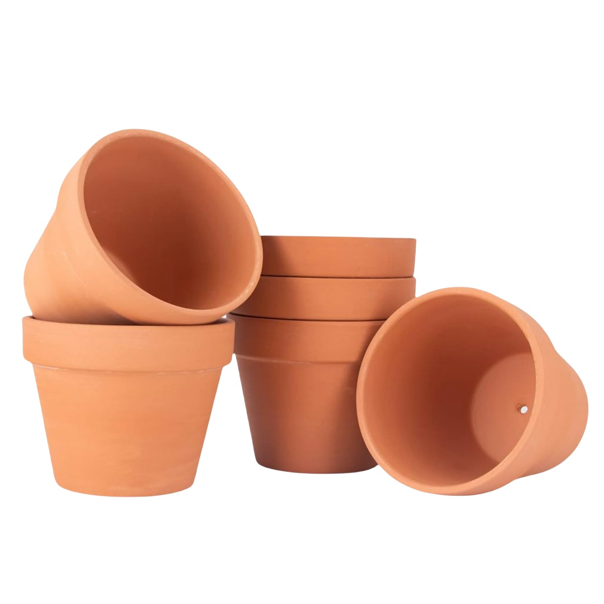 Cactus Mix Pot - 6 Buah 4 Inci Pot Terakota