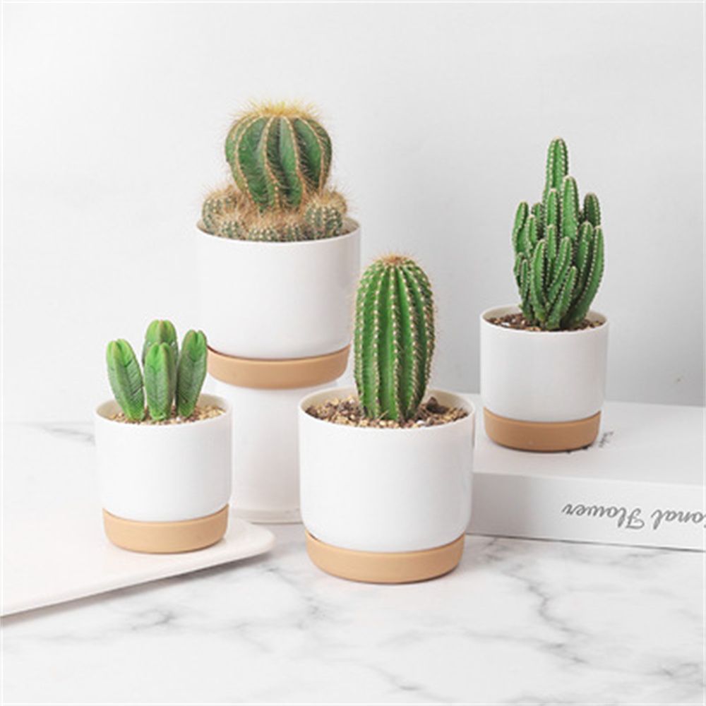 Cactus Mix Pot - Pot Bunga Penyiraman Otomatis untuk Tanaman