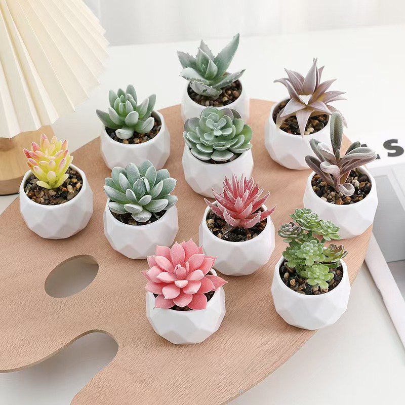 Cactus Mix Pot - Tanaman Buatan Mini Simulasi Kaktus Sukulen