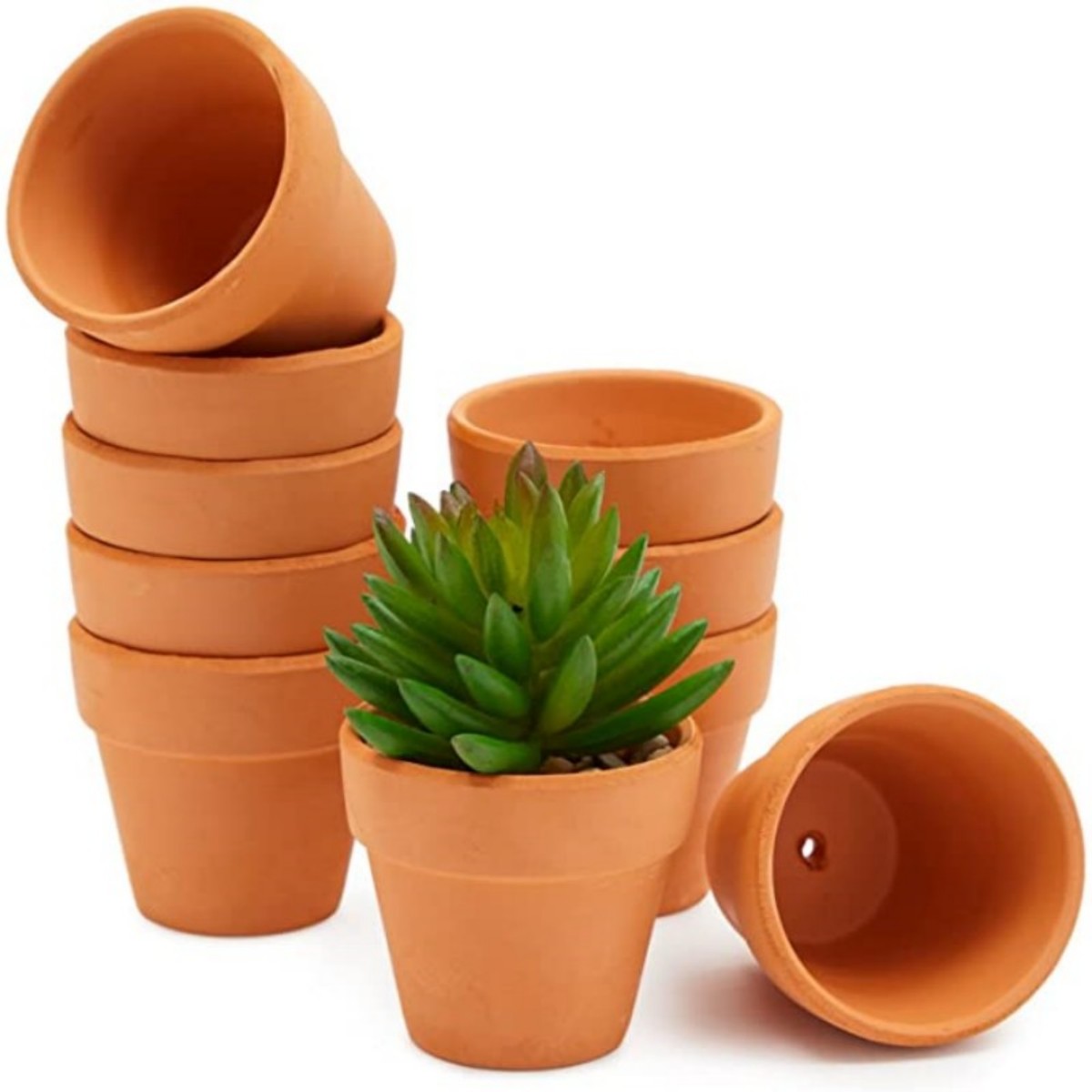 Cactus Mix Pot - 16 Buah Pot Terra Cotta 1.8