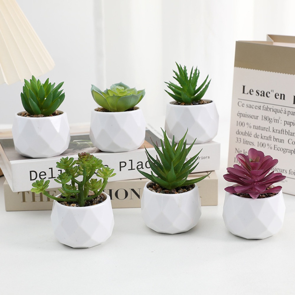 Cactus Mix Pot - Simulasi Tanaman Kaktus Sukulen Buatan Evergreen,