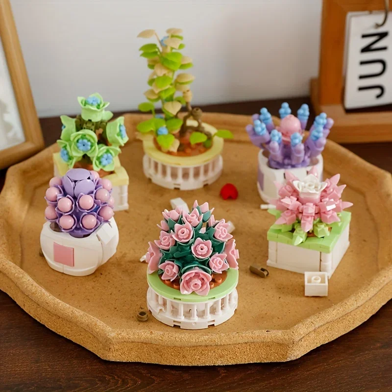 Cactus Mix Pot - Blok Kota DIY Tanaman Pot Sukulen