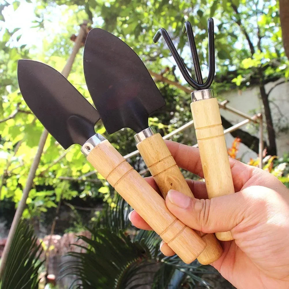 Cactus Mix Pot - 3Pcs/Set Peralatan Taman Mini Ukuran Kecil