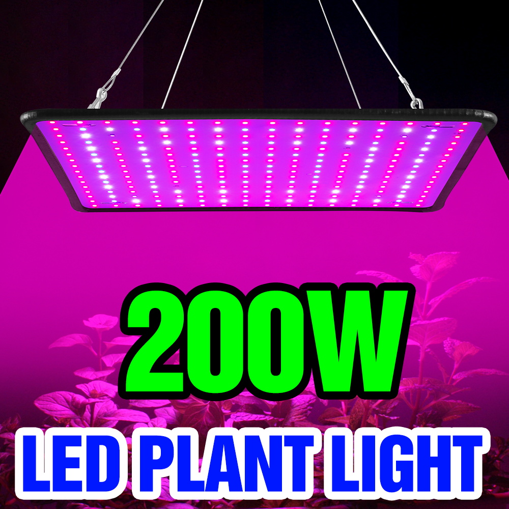Cactus Mix Pot - Lampu Tanam LED Quantum Board 200W