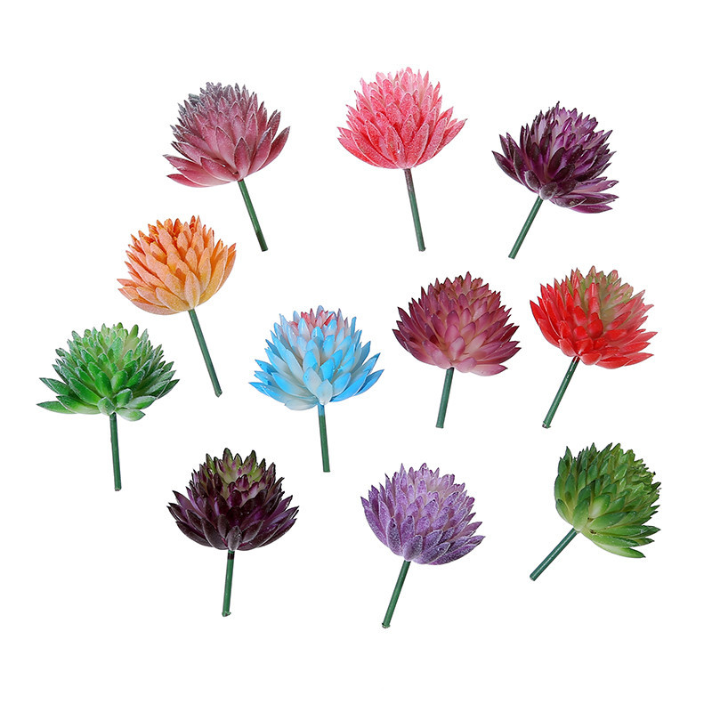 Succulent Arrangement Mini - Wusmart Ji Wa tanaman segar buatan,
