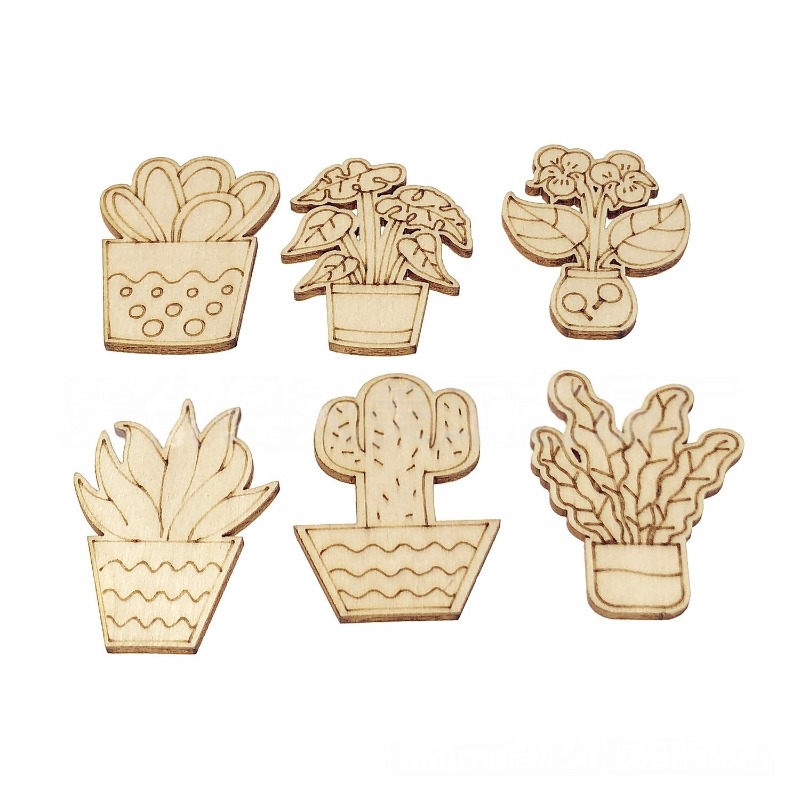 Cactus Mix Pot - 50PCS Aneka Gaya Pot Bunga Kaktus