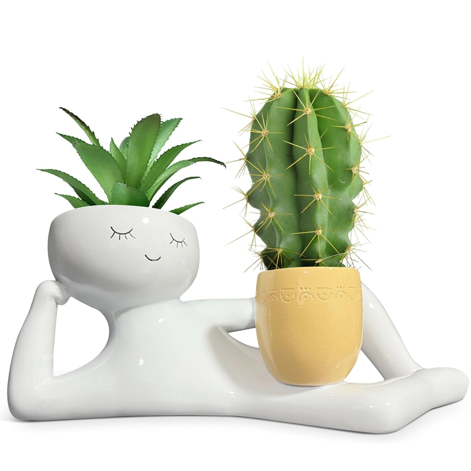 Pot Tanaman Unik Lazy Little G - Cactus Mix Pot ulasan dan harga