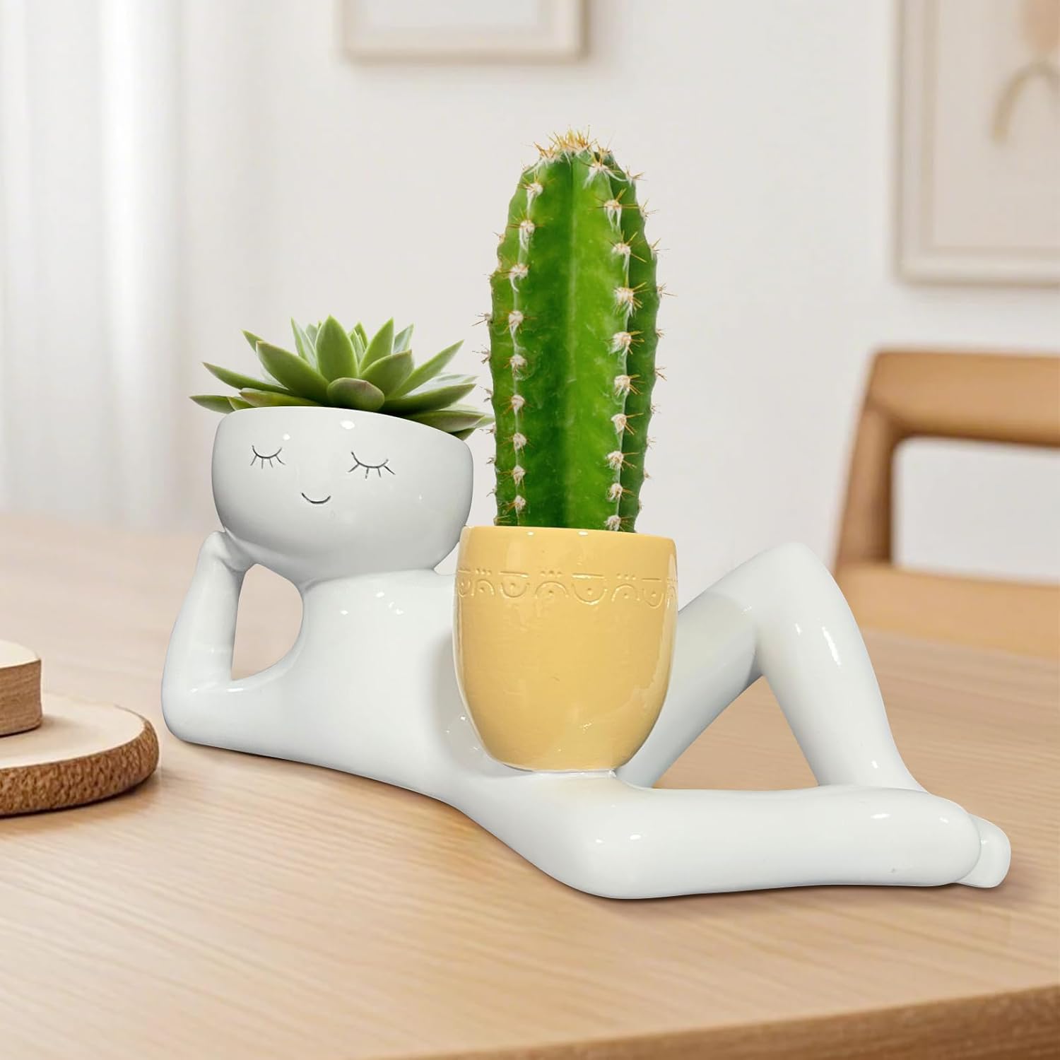 Pot Tanaman Unik Lazy Little G - Cactus Mix Pot ulasan dan harga