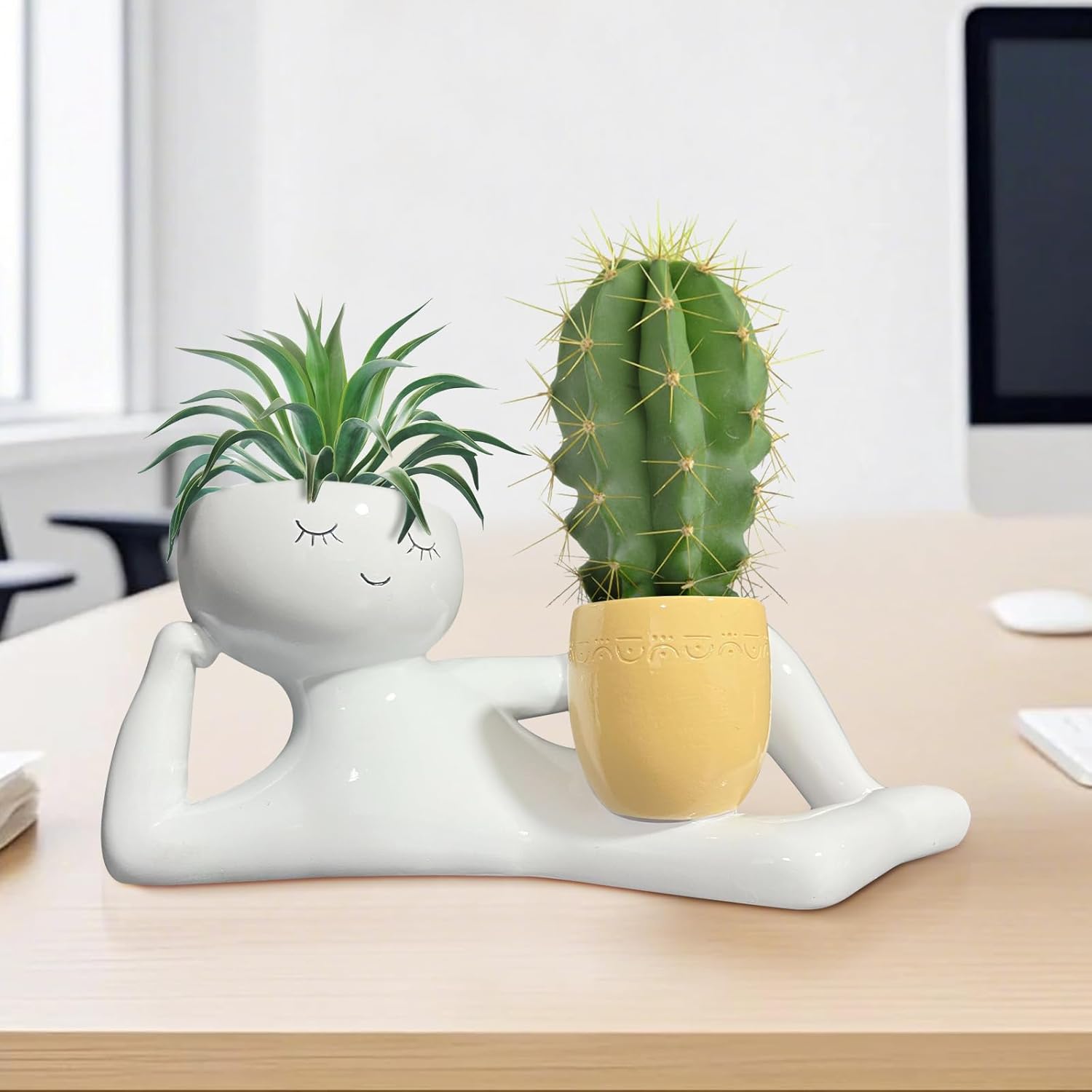 Pot Tanaman Unik Lazy Little G - Cactus Mix Pot ulasan dan harga
