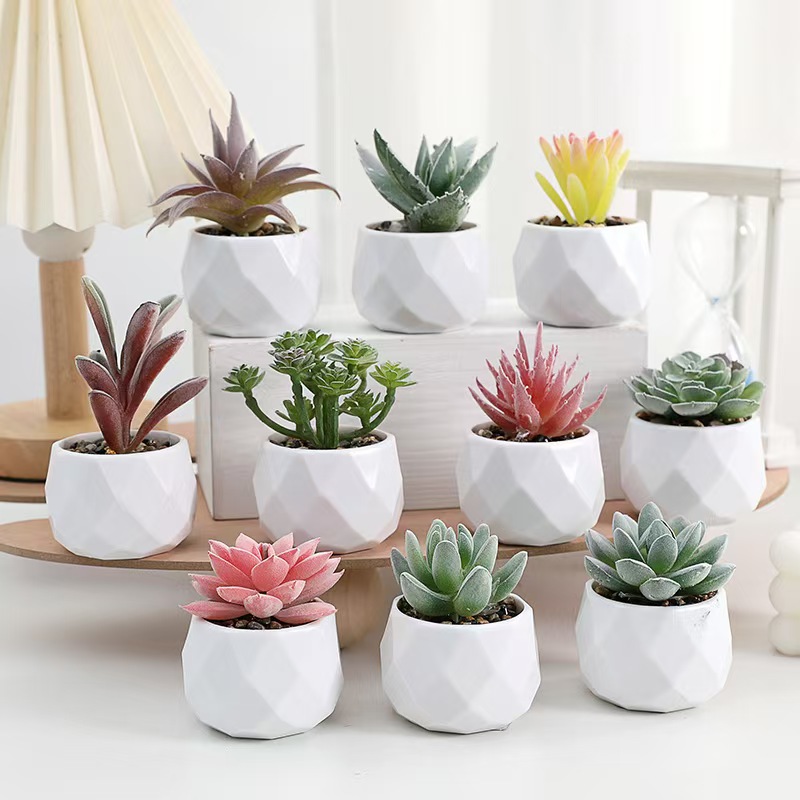 Tanaman Buatan Mini Simulasi K - Cactus Mix Pot ulasan dan harga