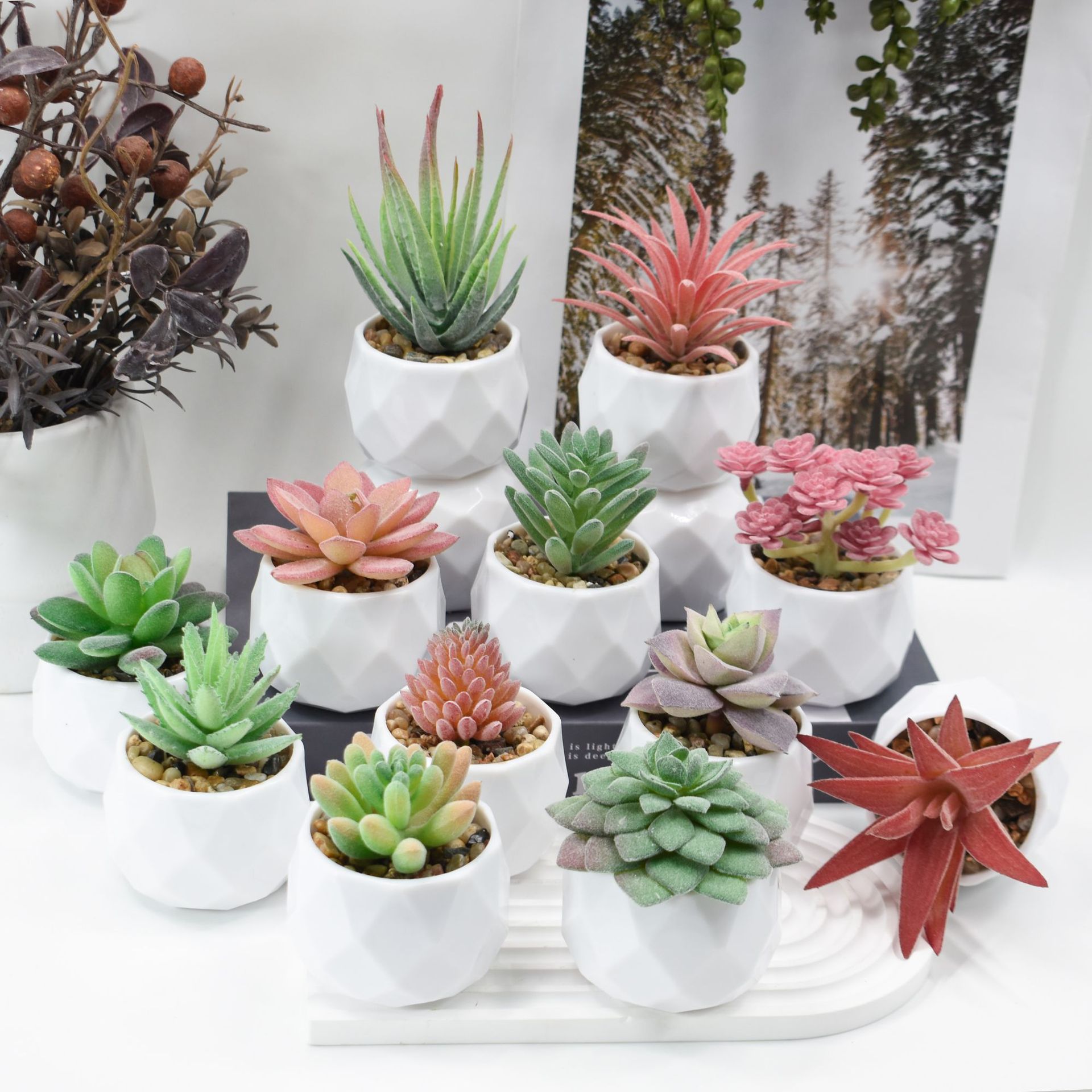 Tanaman Buatan Mini Simulasi K - Cactus Mix Pot ulasan dan harga