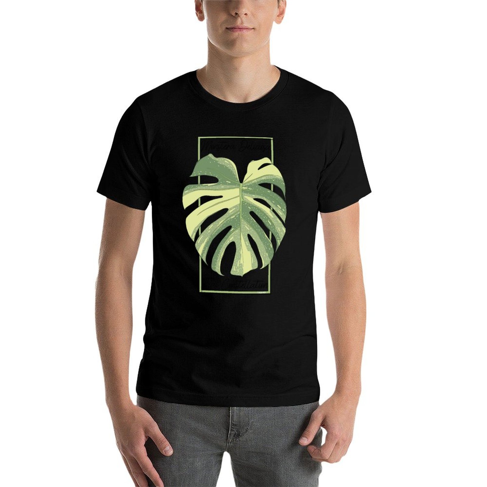 Kaos Monstera Thai Constellati - Monstera Thai Constellation ulasan dan harga