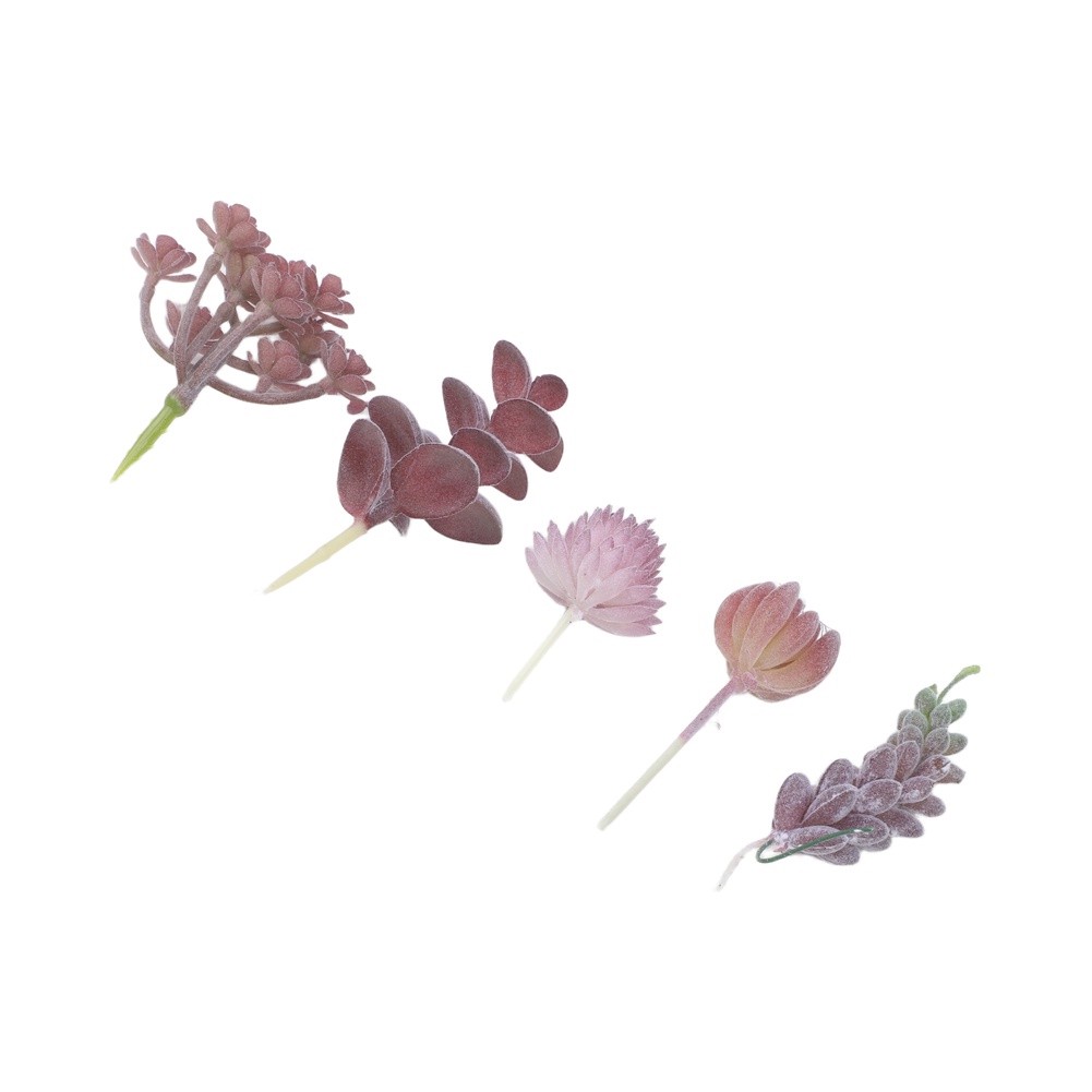 Tanaman Hias Buatan untuk Deko - Succulent Arrangement Mini ulasan dan harga
