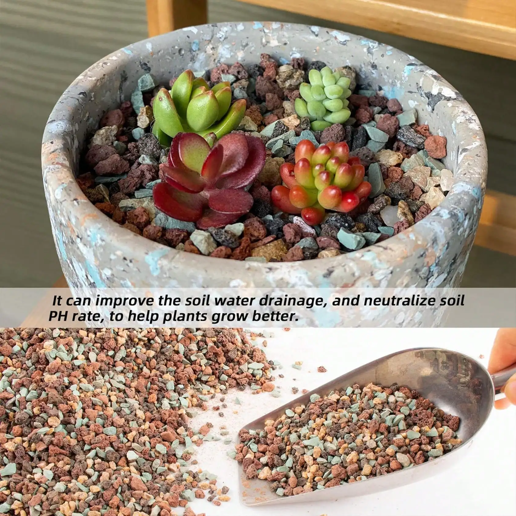 Campuran Batu Lava Hortikultur - Cactus Mix Pot ulasan dan harga