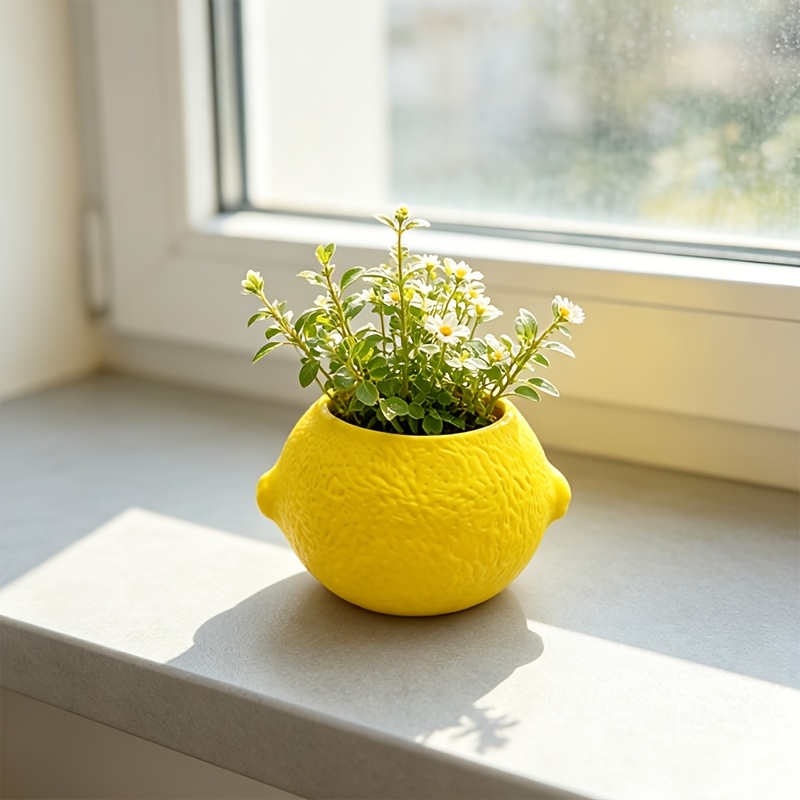 Pot Tanaman Hias Bentuk Lemon  - Cactus Mix Pot ulasan dan harga