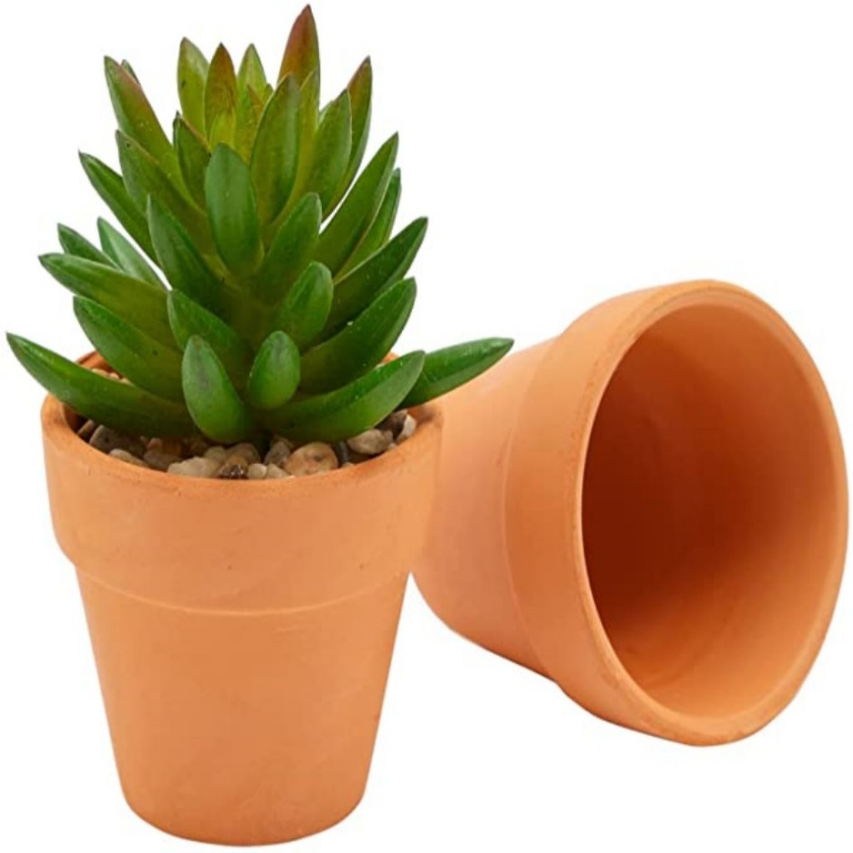 16 Buah Pot Terra Cotta 1.8 '' - Cactus Mix Pot ulasan dan harga