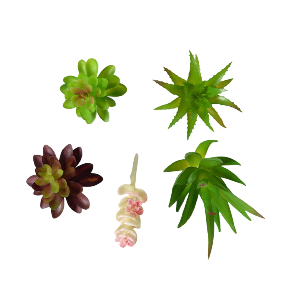 Rangkaian Sukulen Bergaya Mini - Succulent Arrangement Mini ulasan dan harga