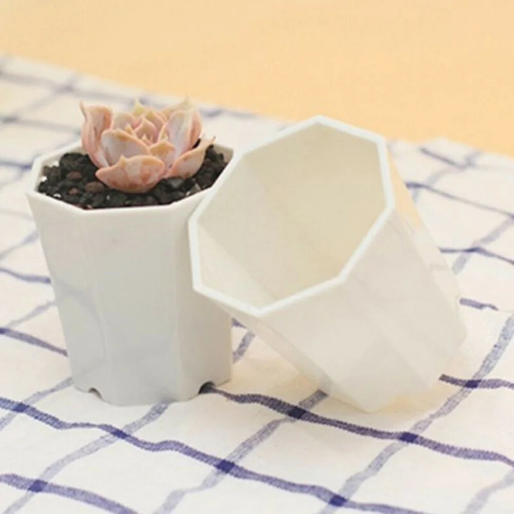 10 Buah Pot Bunga Plastik Mini - Succulent Arrangement Mini ulasan dan harga