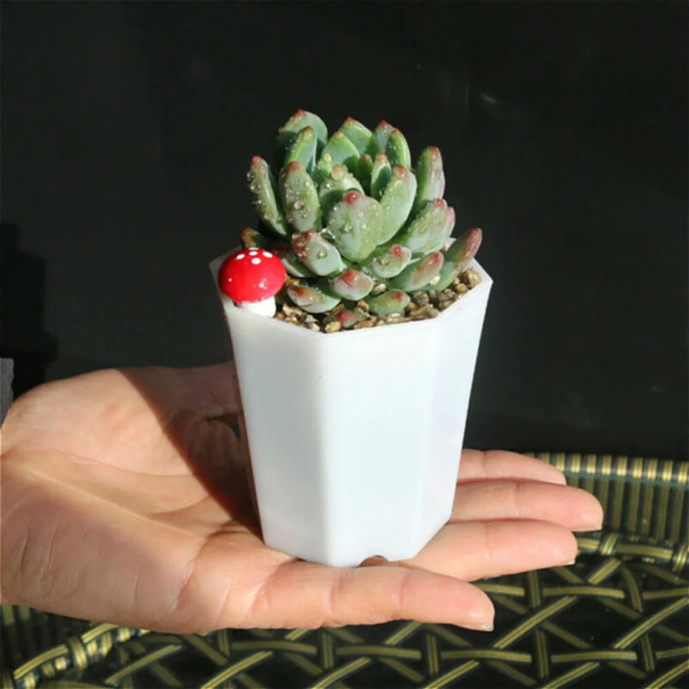 10 Buah Pot Bunga Plastik Mini - Succulent Arrangement Mini ulasan dan harga