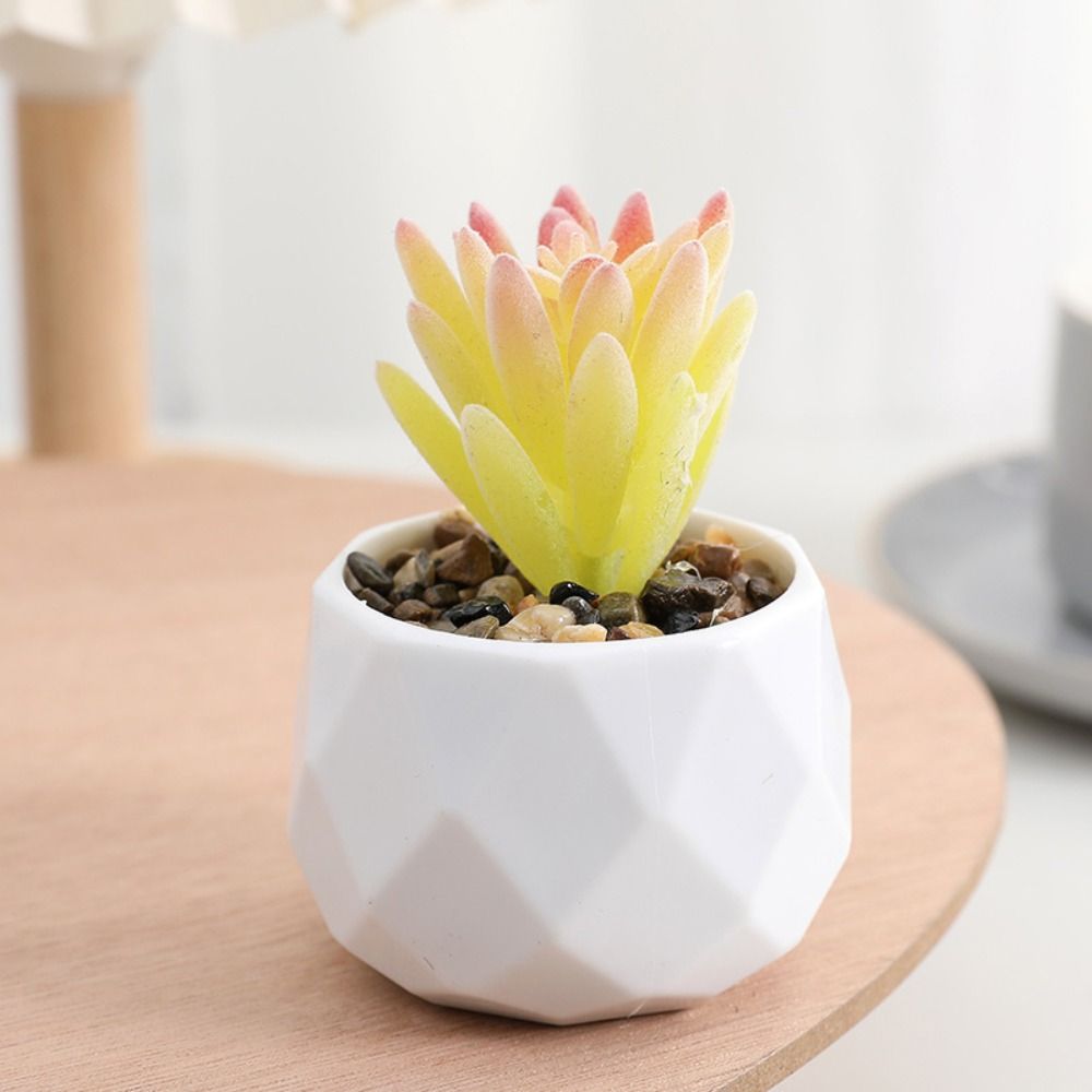 Simulasi Tanaman Kaktus Sukule - Cactus Mix Pot ulasan dan harga