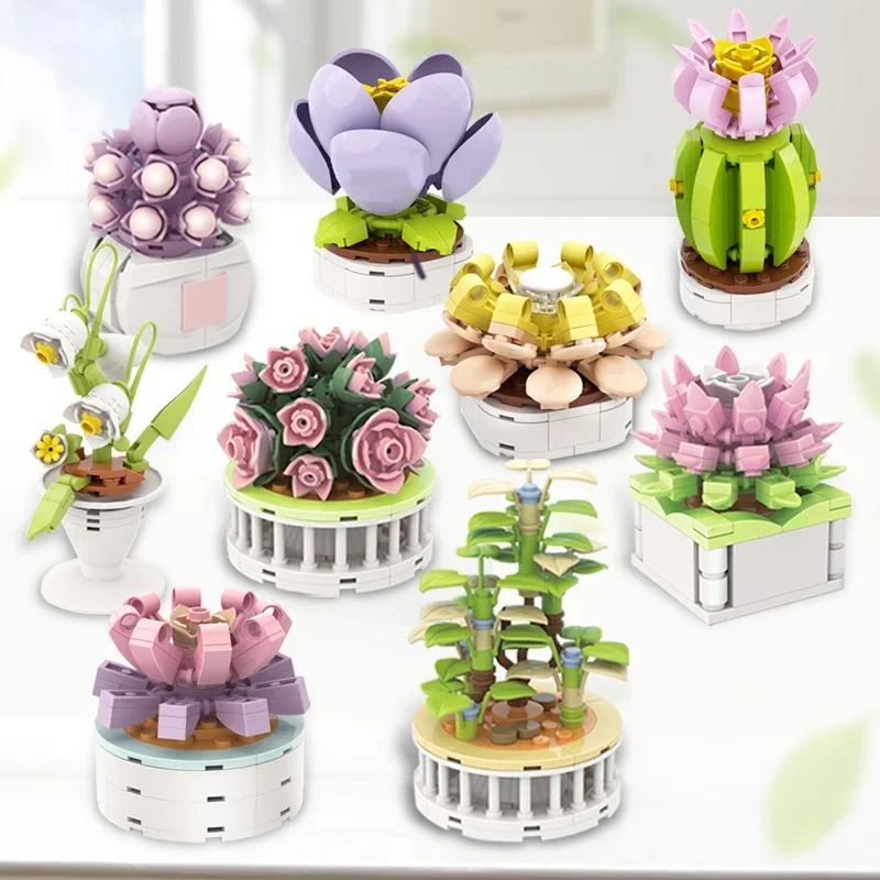 Blok Kota DIY Tanaman Pot Suku - Cactus Mix Pot ulasan dan harga