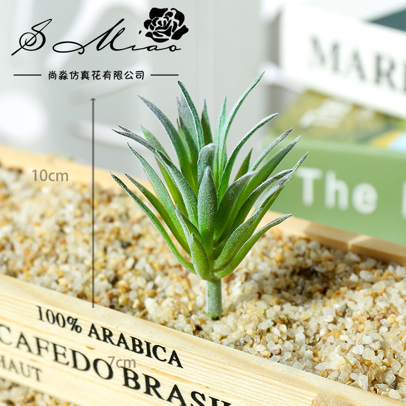 Tanaman Sukulen Buatan Mini Li - Succulent Arrangement Mini ulasan dan harga