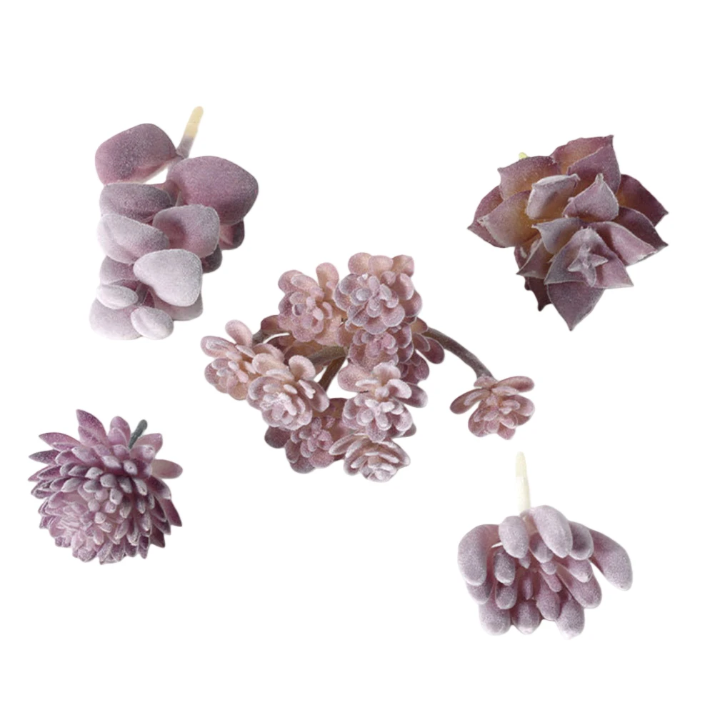 Perawatan Rendah untuk Rangkai - Succulent Arrangement Mini ulasan dan harga