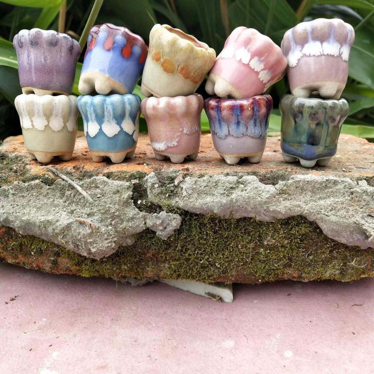 10 buah Pot bunga keramik Mini - Cactus Mix Pot ulasan dan harga