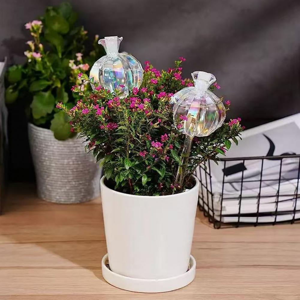 Penyiram Tanaman Otomatis Bent - Cactus Mix Pot ulasan dan harga