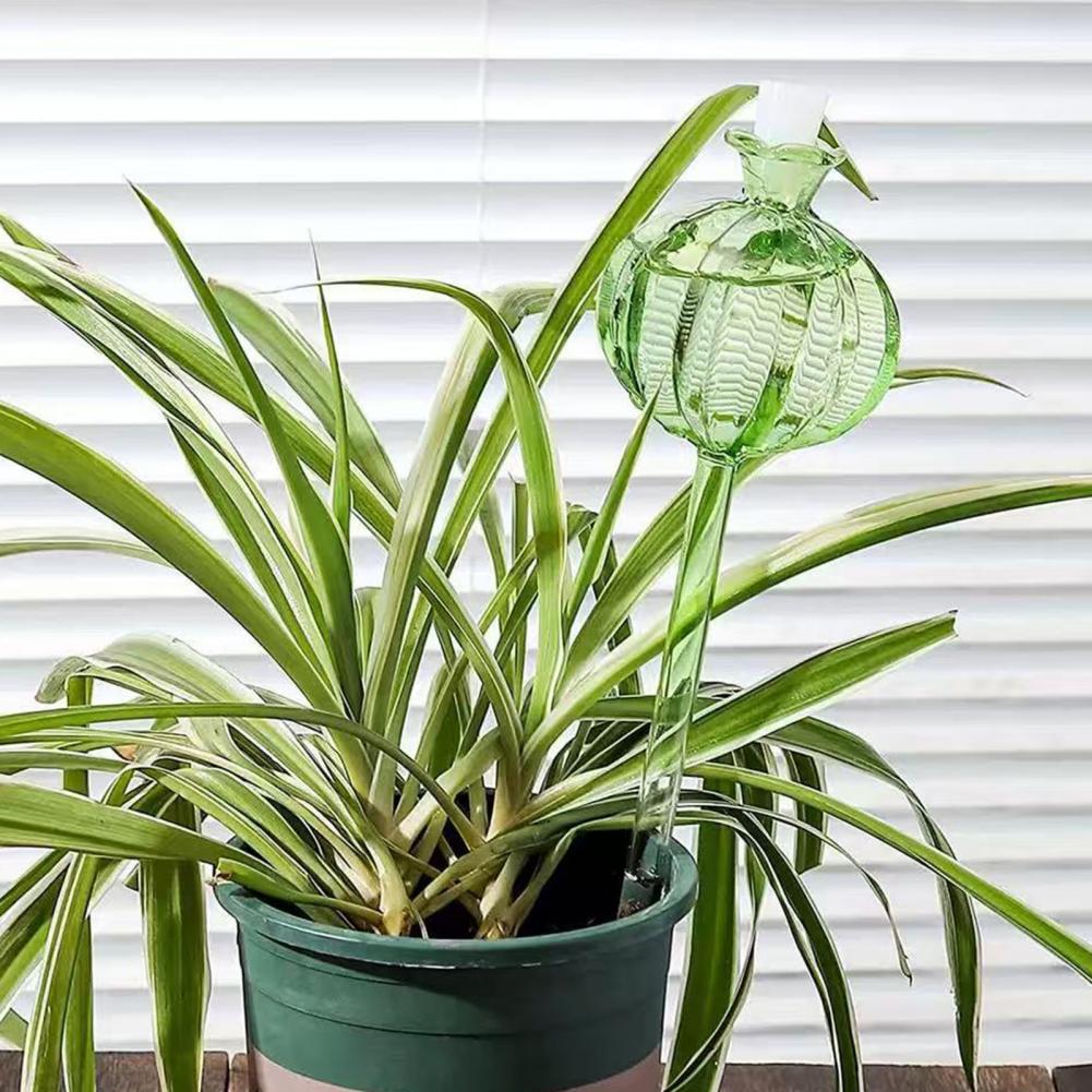 Penyiram Tanaman Otomatis Bent - Cactus Mix Pot ulasan dan harga