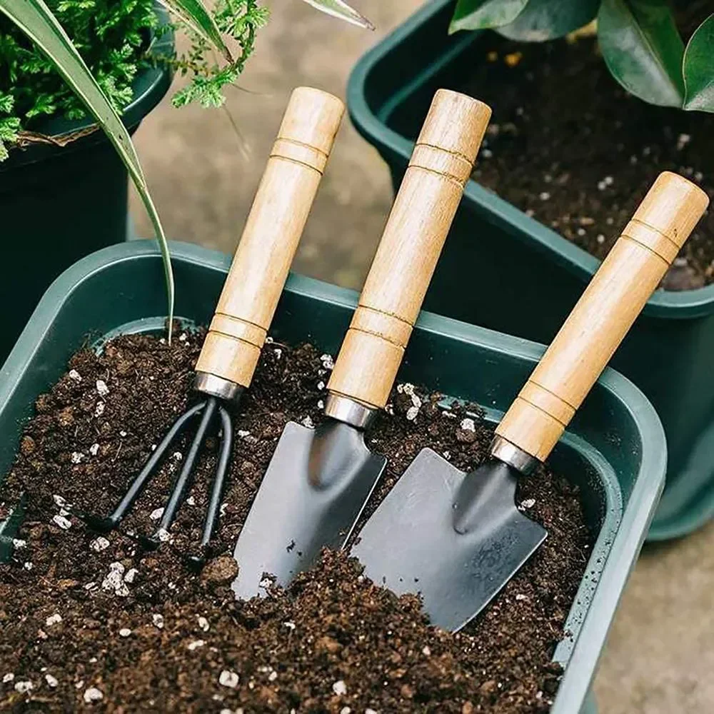 3Pcs/Set Peralatan Taman Mini  - Cactus Mix Pot ulasan dan harga