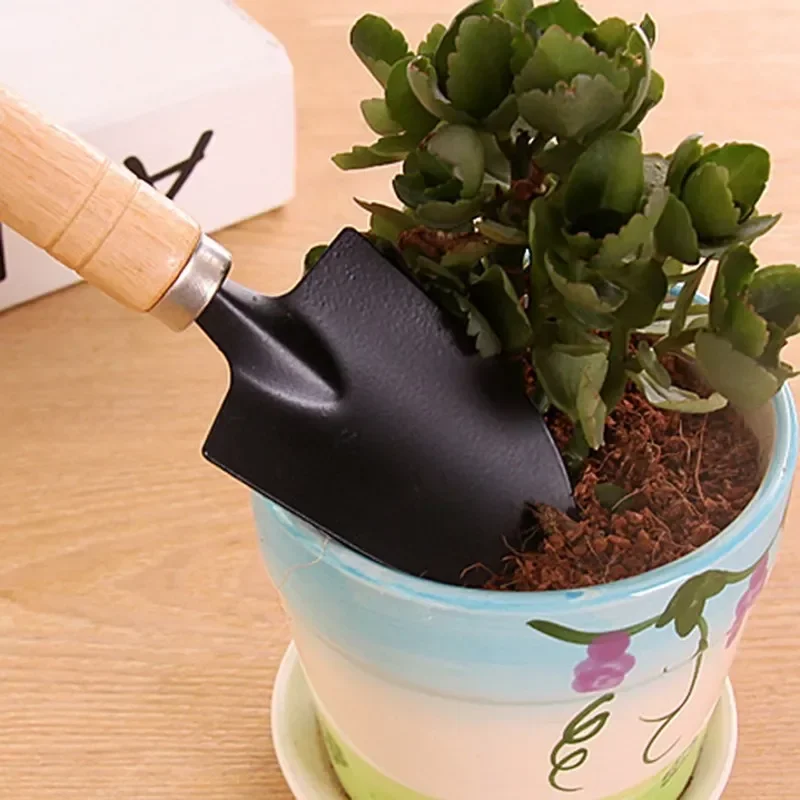 3Pcs/Set Peralatan Taman Mini  - Cactus Mix Pot ulasan dan harga