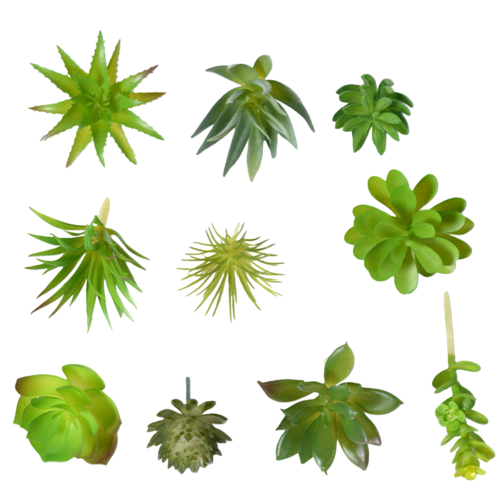 Perlengkapan Fotografi Ramah P - Succulent Arrangement Mini ulasan dan harga