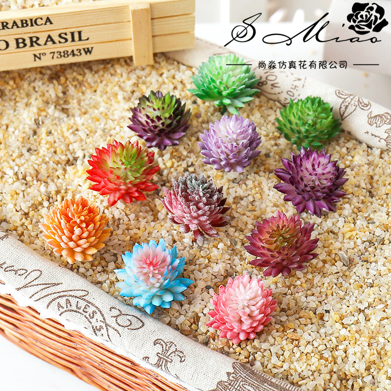 Wusmart Ji Wa tanaman segar bu - Succulent Arrangement Mini ulasan dan harga