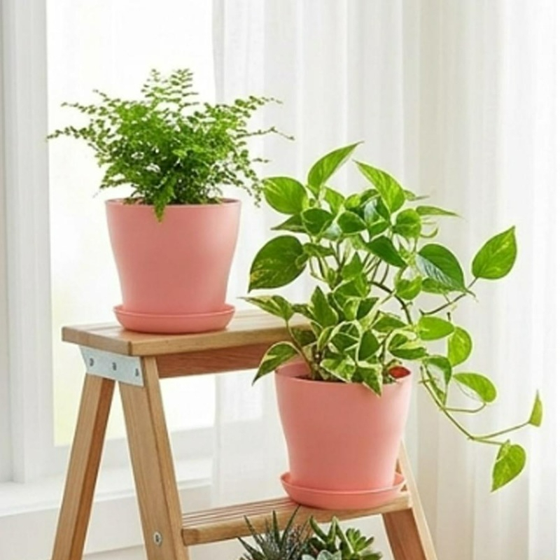 Set Pot Tanaman dengan Lubang  - Cactus Mix Pot ulasan dan harga