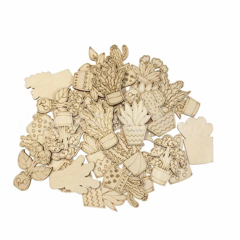 50PCS Aneka Gaya Pot Bunga Kak - Cactus Mix Pot ulasan dan harga