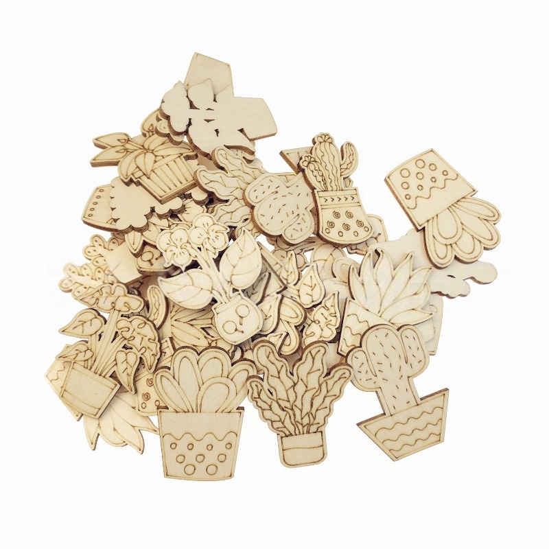 50PCS Aneka Gaya Pot Bunga Kak - Cactus Mix Pot ulasan dan harga